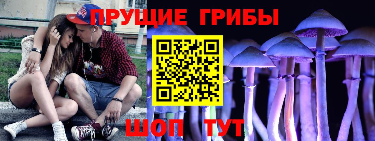 Псилоцибиновые грибы прущие грибы  Вход с VPN  Псилоцибиновые грибы MAGIC MUSHROOMS  Курган 